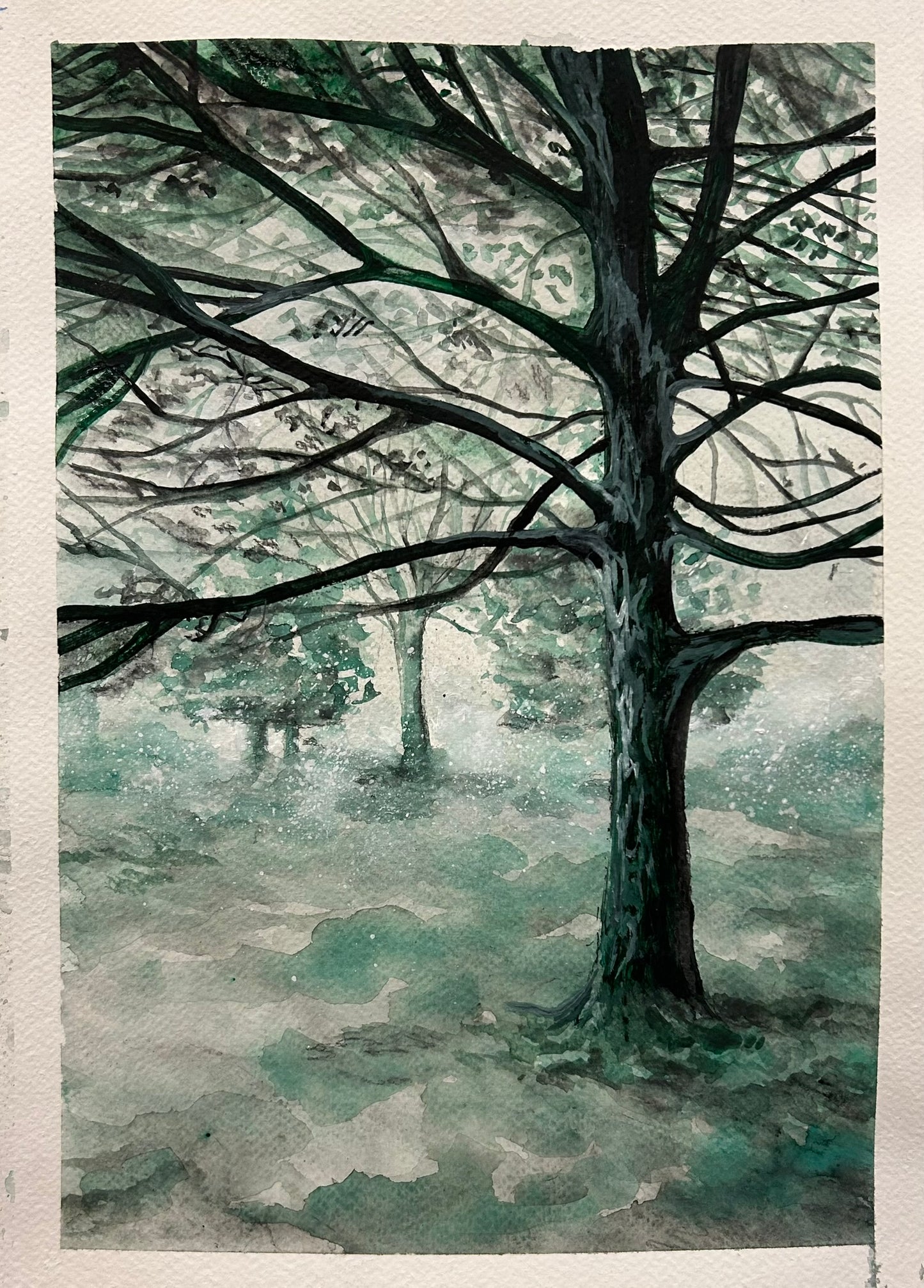 Fog