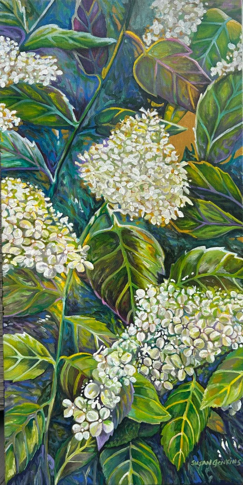 Hydrangeas