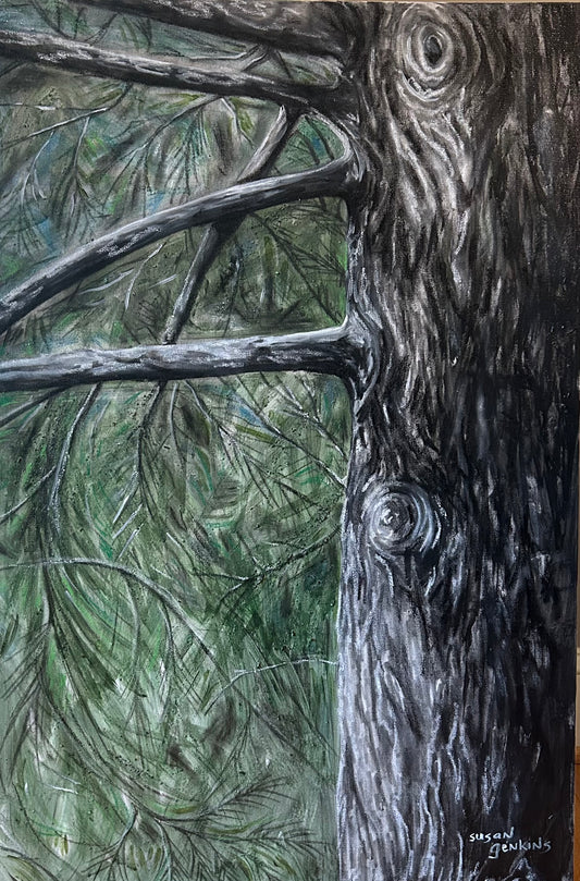 Pine