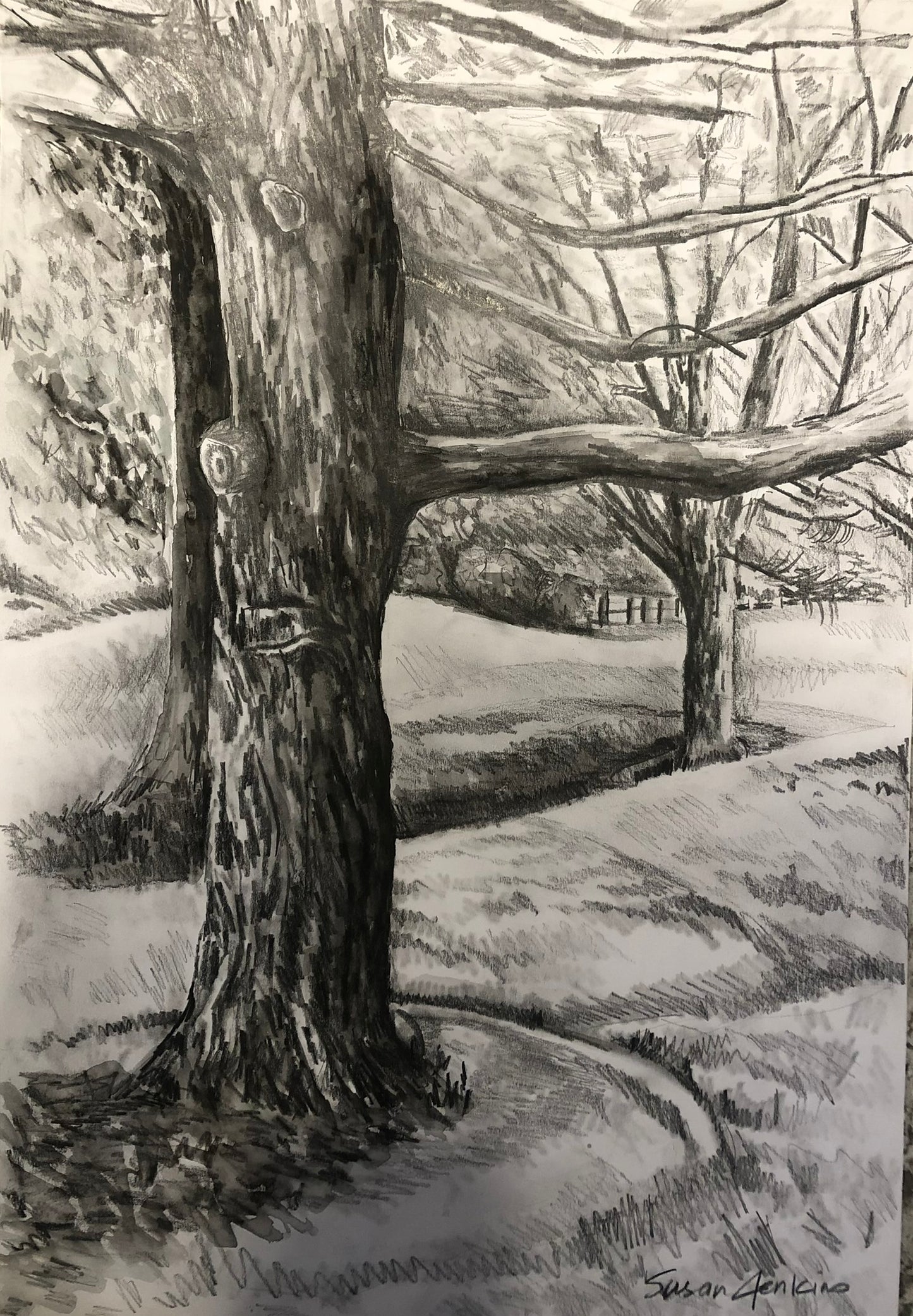 Trees of Woodcliff #1