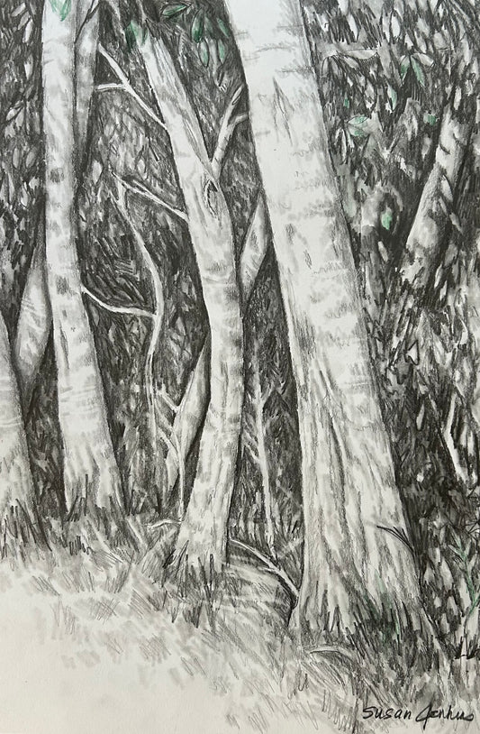 Trees of Woodcliff #3
